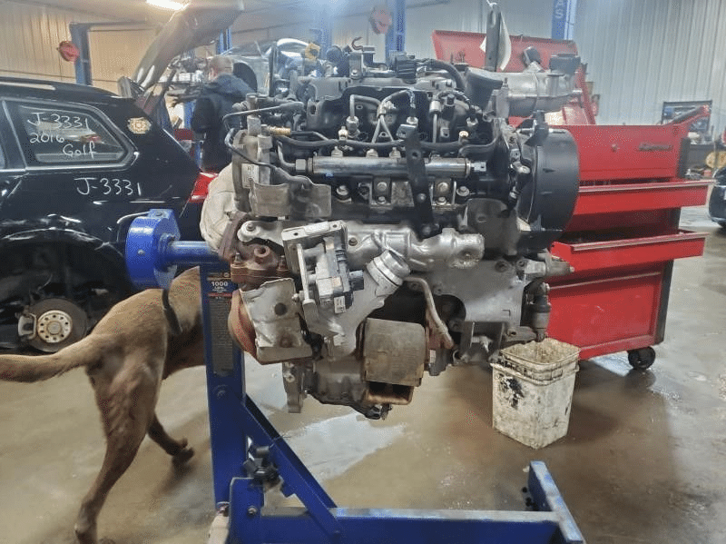 2019 Ford F-150 2.7L (VIN P, 8th digit, turbo), from 11/28/18 Used Engine