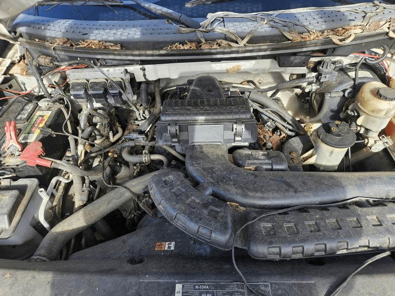 2005 Ford F 150 5.4l V8 Used Engine