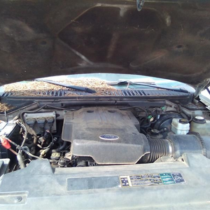 2004 Ford EXPEDITION 4.6L, (VIN W, 8th digit, Romeo), aluminum block Used Engine