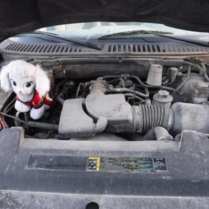 2004 Ford EXPEDITION 5.4L (VIN L, 8th digit, SOHC) Used Engine