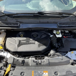 2016 Ford ESCAPE 2.0L (VIN 9, 8th digit, turbo), thru 11/18/15 Remanufacture Engine