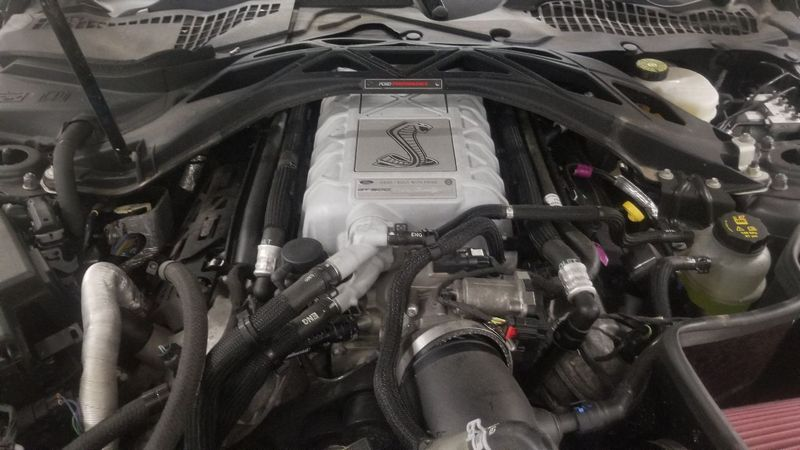2020 Ford MUSTANG 5.2L V8 Supercharged Used Engine
