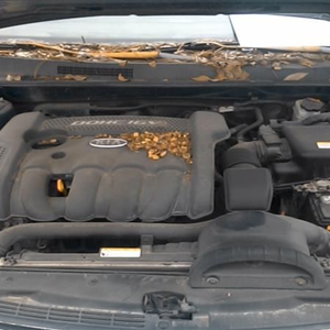 2008 Kia MAGENTIS 2.4L L4 Used Engine