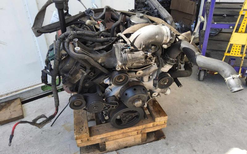 2004 Ford F-250 Super Duty 6.0L (VIN P, 8th digit, diesel), thru 09/22/03, ID DG-044-AA (AT) Used Engine