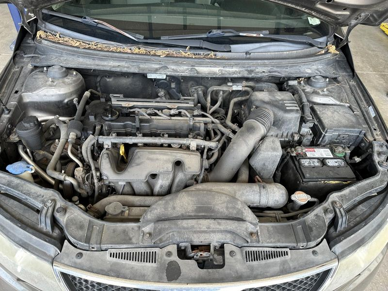 2010 Kia FORTE thru 9/29/09, 2.0L, (VIN 2, 8th digit, DOHC), Canada emissions (ULEV) Used Engine