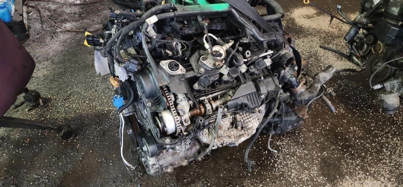 2015 Kia CADENZA (3.3L, VIN 7, 8th digit) Used Engine