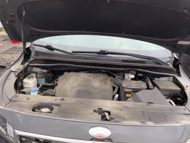 2019 Kia SEDONA (3.3L, VIN 1, 8th digit) Used Engine