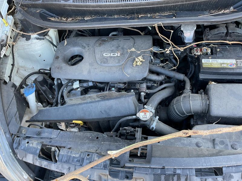 2017 Kia RIO (1.6L, VIN 3, 8th digit, DOHC), AT, w/o automatic engine stop and start Used Engine