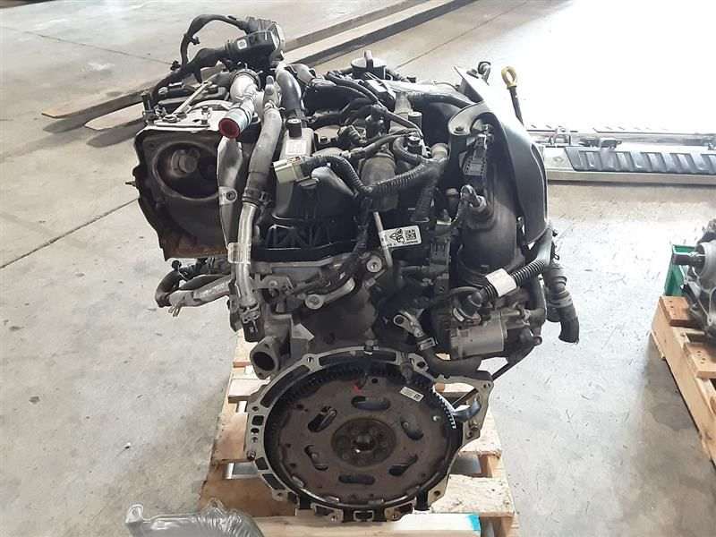 2020 Jeep WRANGLER (LHD), 2.0L (VIN N, 8th digit), 12 volt system (non-eTorque, opt EC1) Used Engine