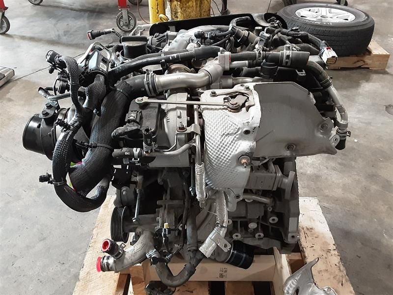 2020 Jeep WRANGLER (LHD), 2.0L (VIN N, 8th digit), 12 volt system (non-eTorque, opt EC1) Used Engine