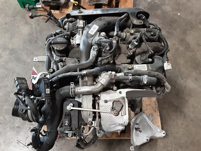 2020 Jeep WRANGLER (LHD), 2.0L (VIN N, 8th digit), 12 volt system (non-eTorque, opt EC1) Used Engine