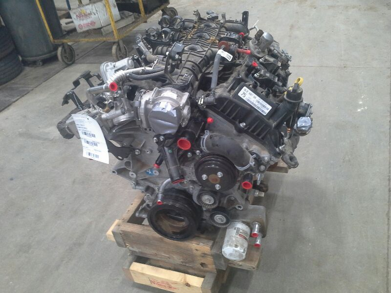 2022 Ford F-150 gasoline, 3.5L (turbo), VIN 8 (8th digit) Used Engine