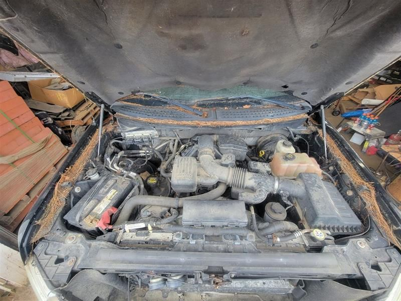 2009 Ford F 150 5.4l v8 Used Engine