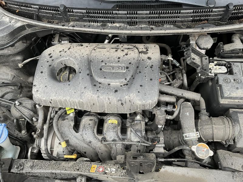 2019 Kia Rio (1.6l, vin d, 8th digit) Used Engine