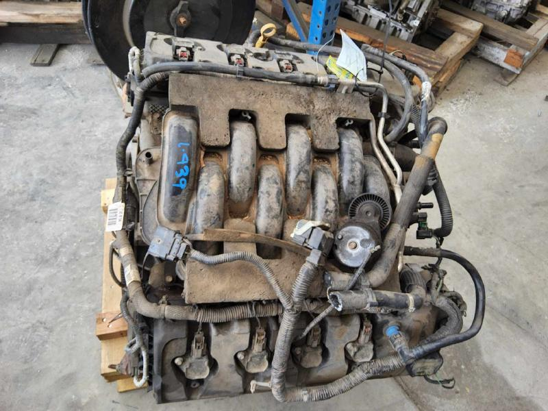 2011 Ford Truck f150 5.0l (vin f, 8th digit) Used Engine 2