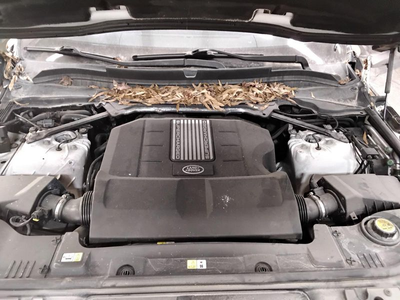 2016 Land rover Range rover sport 3.0l V6 Diesel Turbocharged Used engine